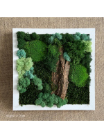 fullsizerender-1_346868568