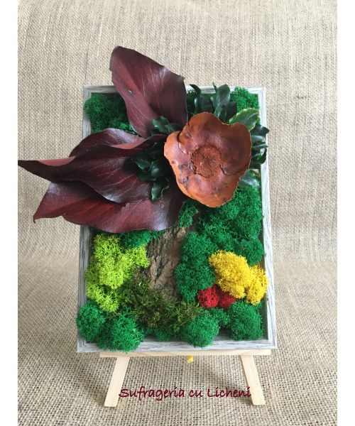 cod_1_2_9