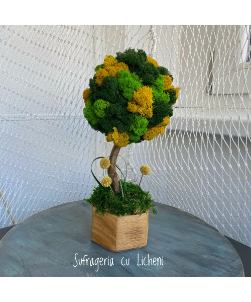 img_0780