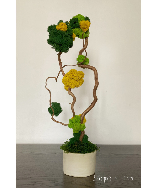 img_9704_286204734