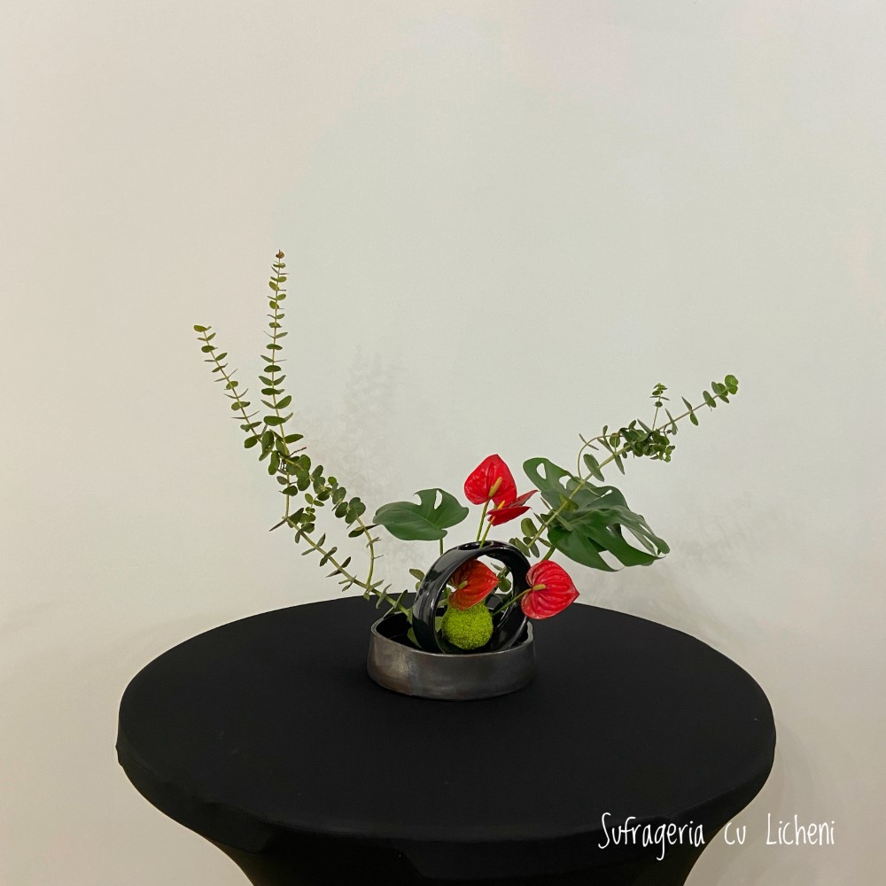 IMG 4874