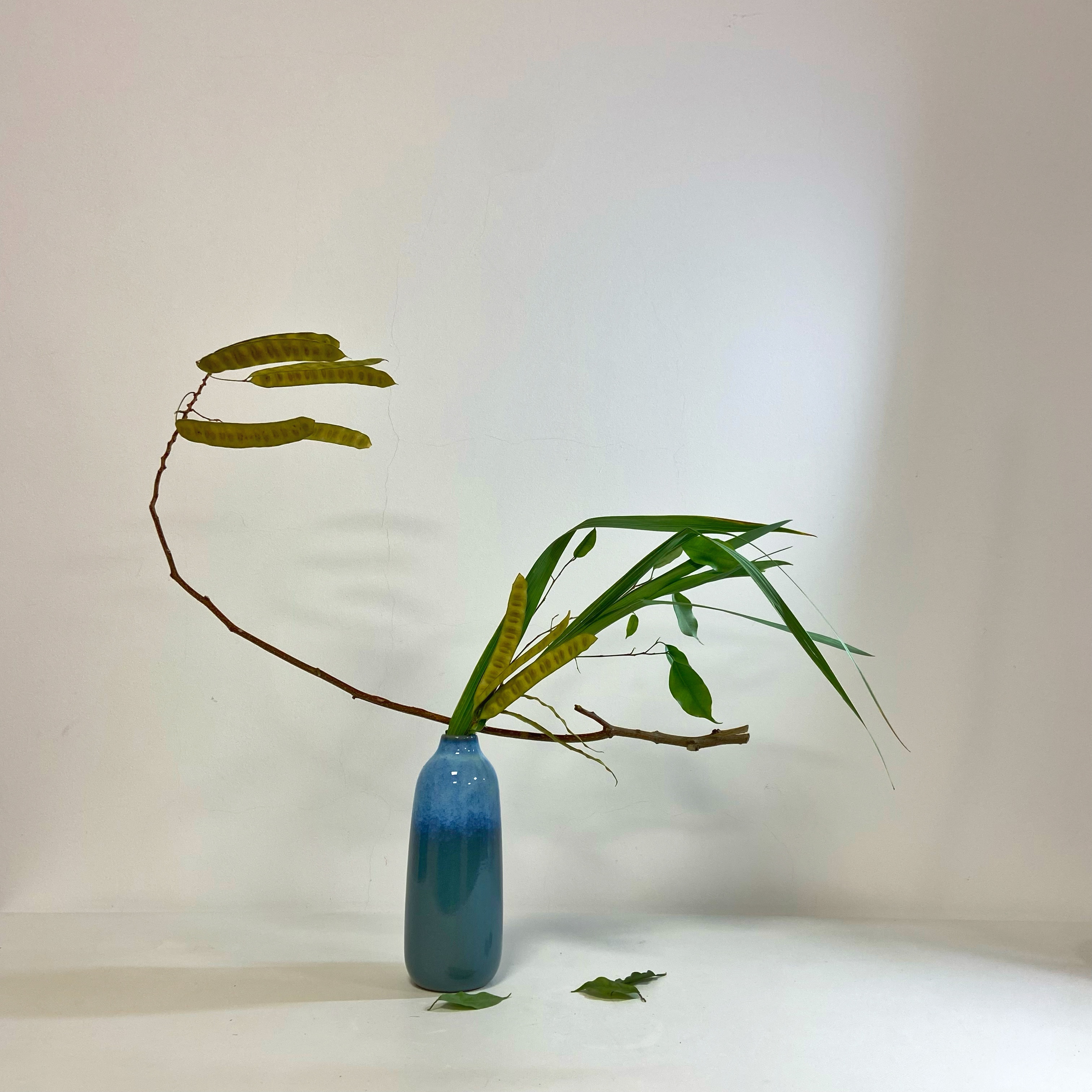 Day 188 of #1000ikebanaforpeace