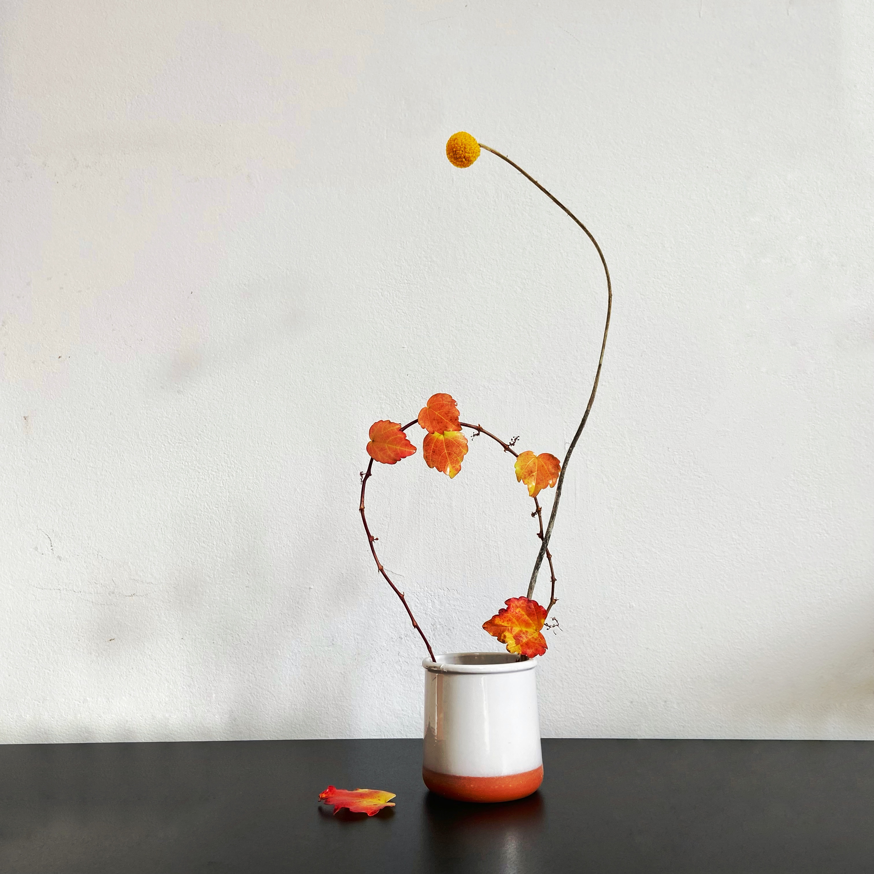 Day 191 of #1000ikebanaforpeace