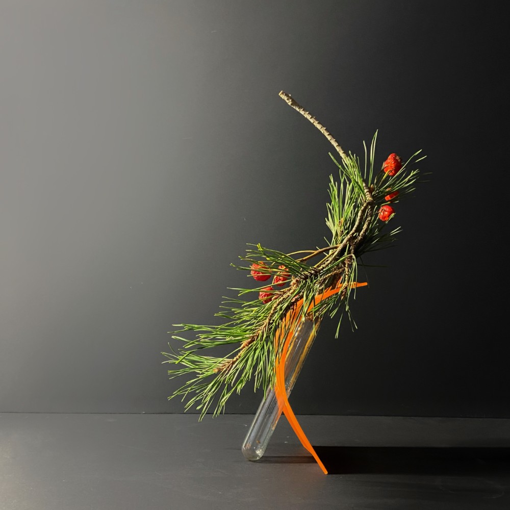 Day 199 of #1000ikebanaforpeace