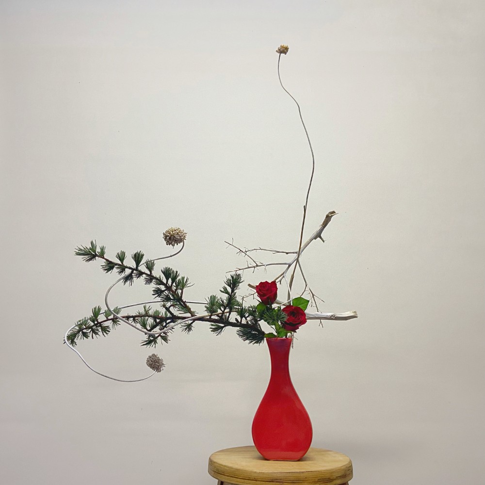 Day 200 of #1000ikebanaforpeace